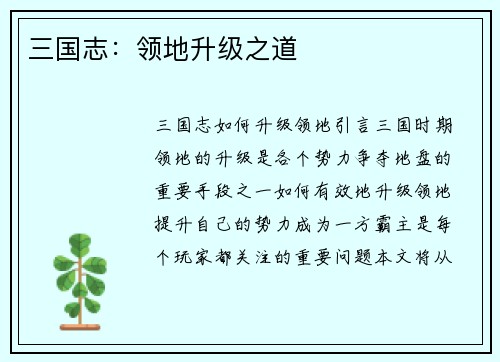 三国志：领地升级之道